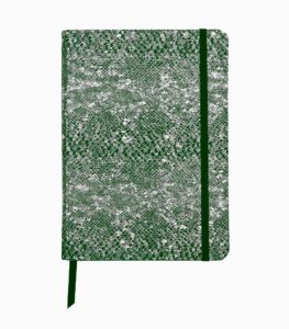 Notebook coperta moale piele, A5, Clairefontaine Celeste Green laser + Silver