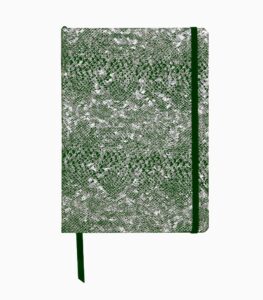 Notebook coperta tare piele, A5, Clairefontaine Celeste Green laser + Silver