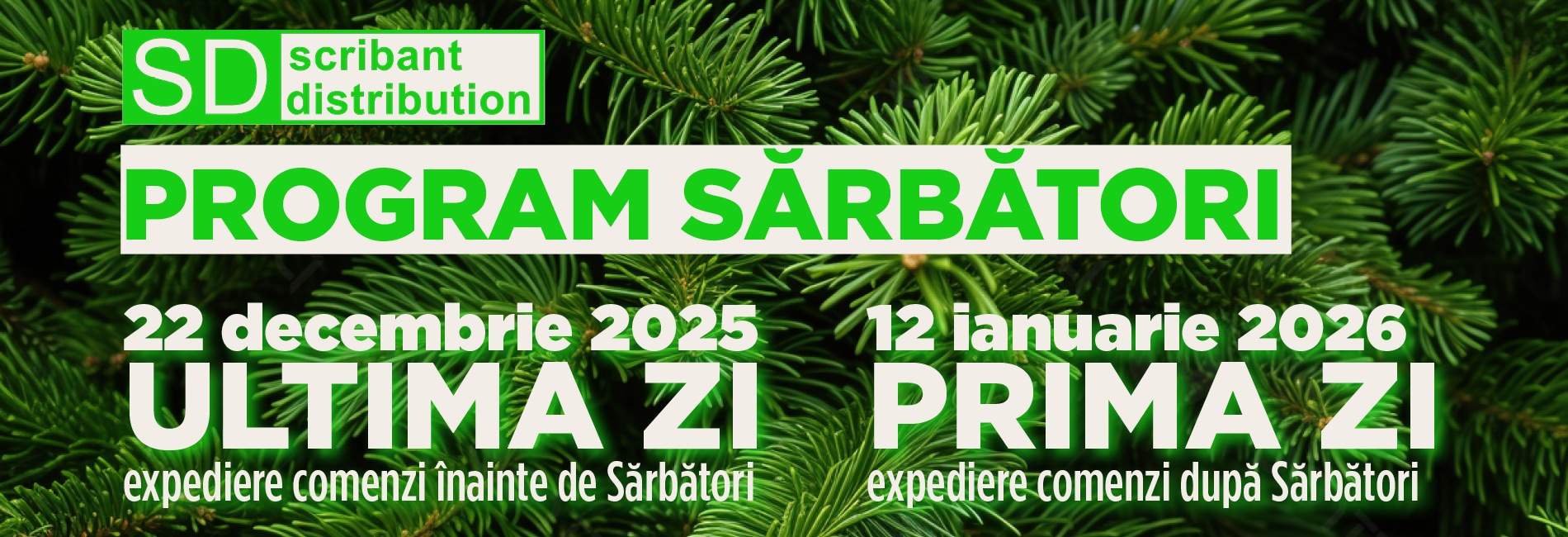 Program sărbători 2025-2026 Program sărbători 2025-2026